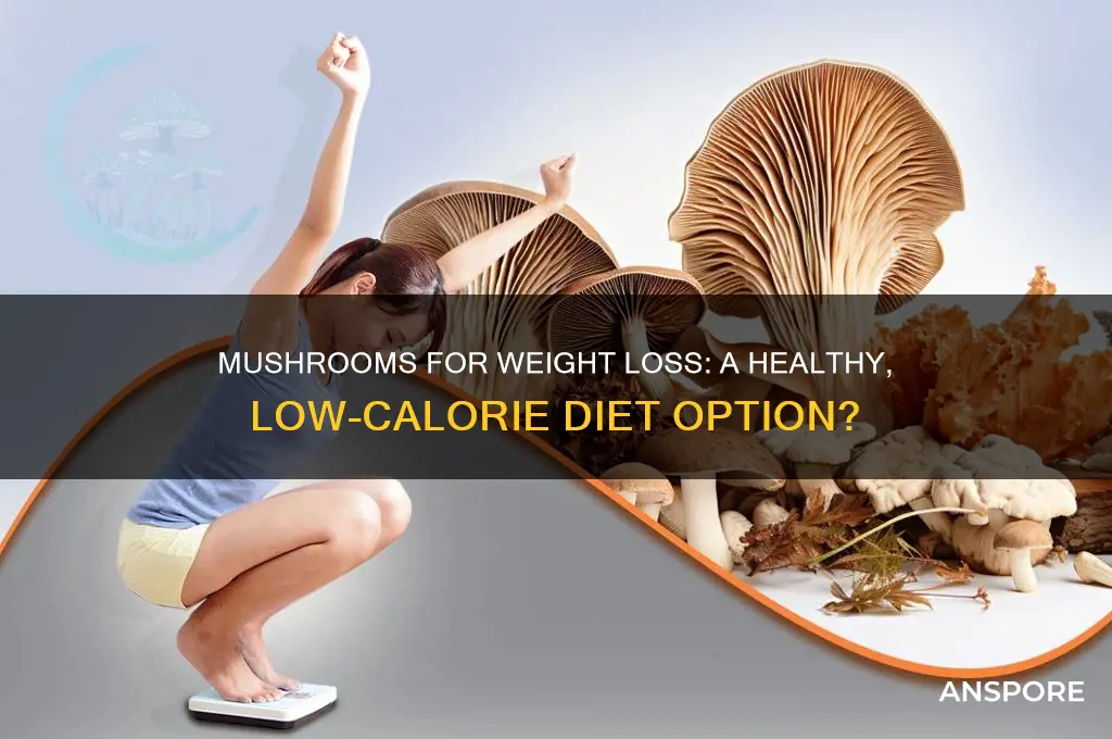 can we eat mushroom for weight loss