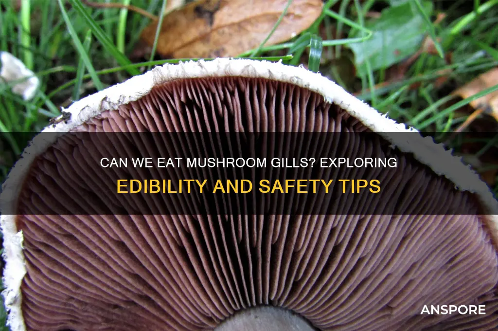 can we eat mushroom gills