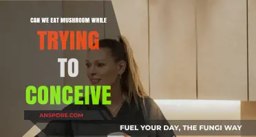 Mushrooms and Fertility: Safe to Eat When Trying to Conceive?