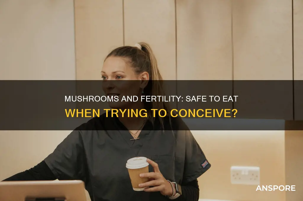 can we eat mushroom while trying to conceive