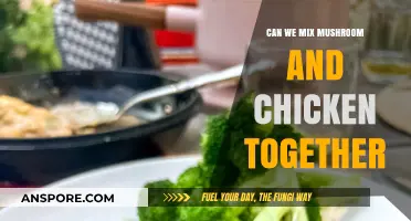 Mushroom and Chicken Combo: A Flavorful Match or Culinary Clash?