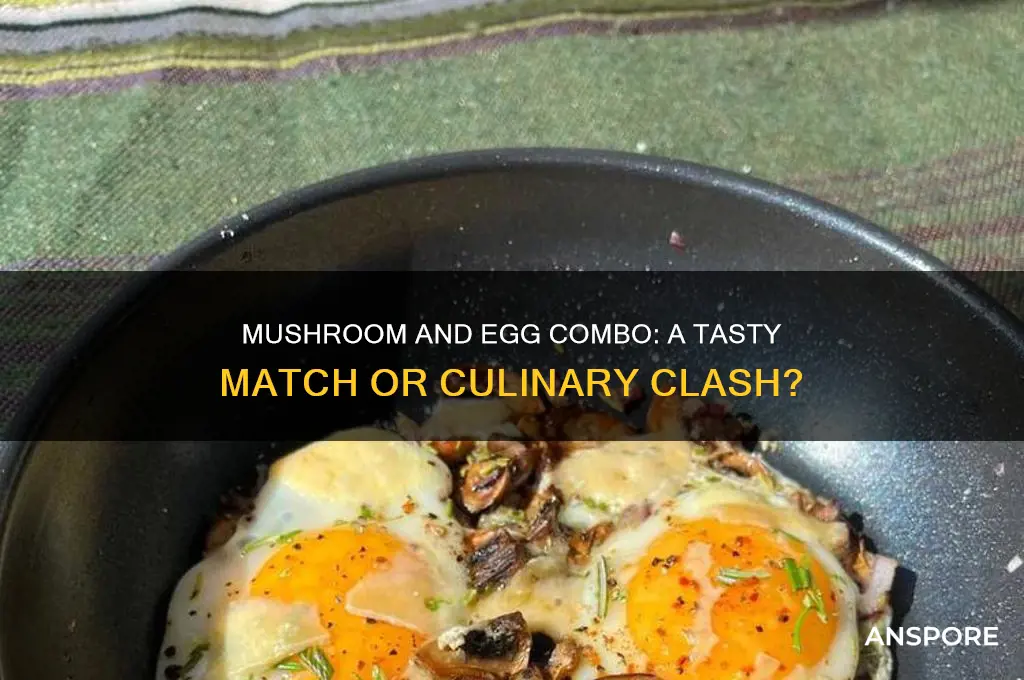 can we mix mushroom and egg together