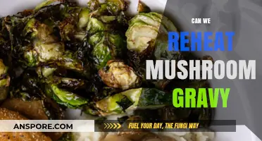 Reheating Mushroom Gravy: Tips for Perfect Texture and Flavor Every Time