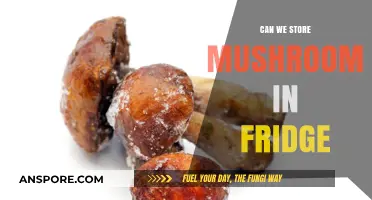 Storing Mushrooms in the Fridge: Best Practices for Freshness