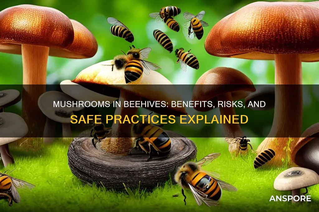 can we take mushrooms in hives
