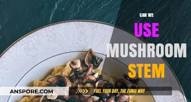 Unlocking Culinary Potential: Creative Uses for Mushroom Stems