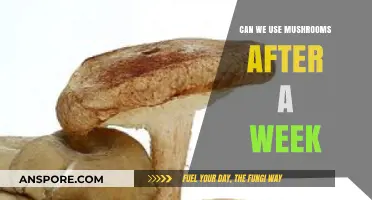 Can Mushrooms Still Be Safely Consumed After a Week?