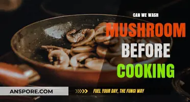 Should You Wash Mushrooms Before Cooking? Expert Tips and Advice