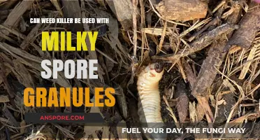 Using Weed Killer with Milky Spore Granules: Safe or Risky?