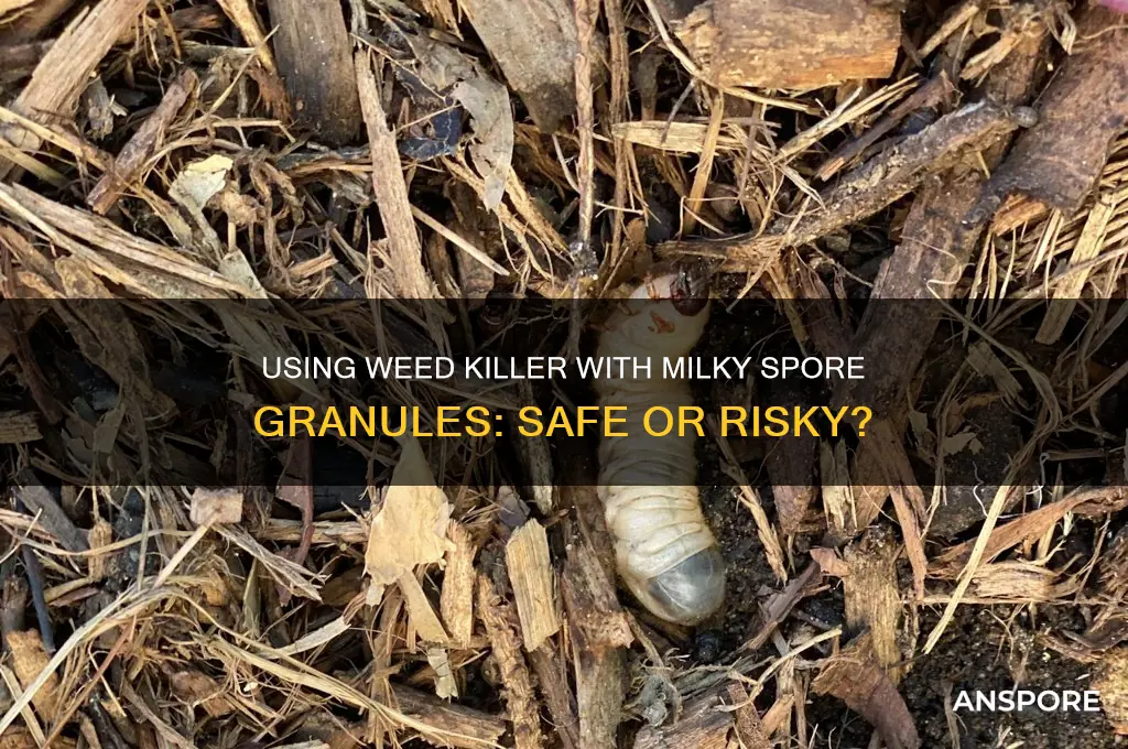 can weed killer be used with milky spore granules