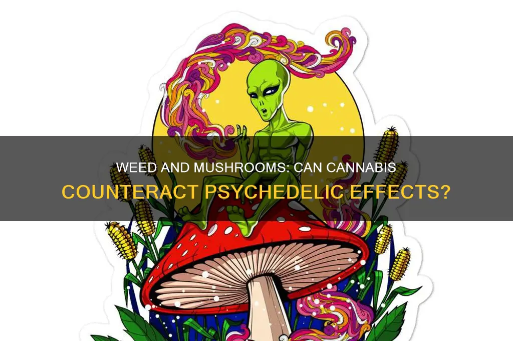 can weed reduce the effects of mushrooms