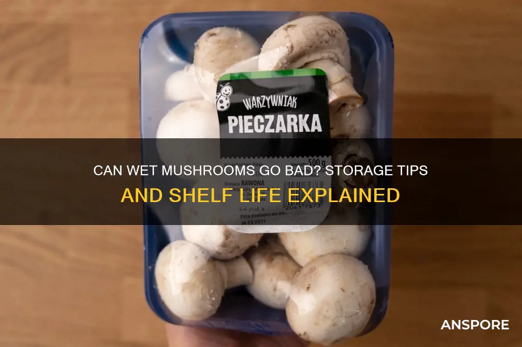 can wet mushrooms go bad