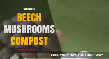 Composting White Beech Mushrooms: Benefits, Process, and Eco-Friendly Tips