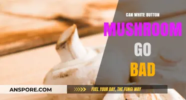 Do White Button Mushrooms Spoil? Shelf Life and Storage Tips