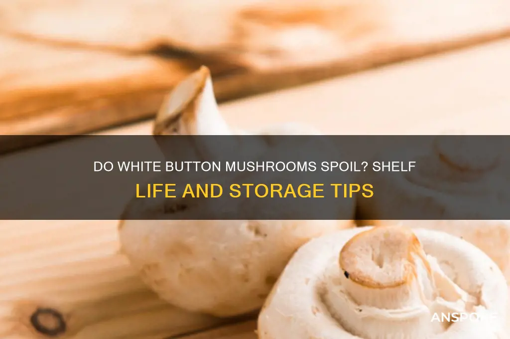 can white button mushrooms go bad