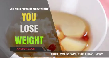 White Fungus Mushroom: A Natural Weight Loss Solution?