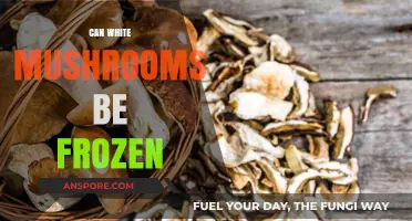 Freezing White Mushrooms: A Guide to Preserving Freshness and Flavor