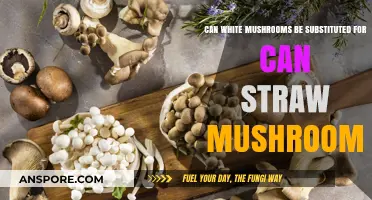 White vs. Straw Mushrooms: Can They Be Substituted in Recipes?