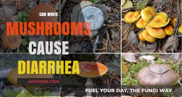 Can White Mushrooms Cause Diarrhea? Facts and Myths Explained