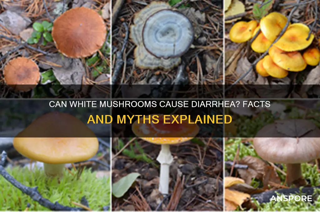 can white mushrooms cause diarrhea