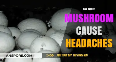Can White Mushrooms Trigger Headaches? Exploring the Surprising Connection