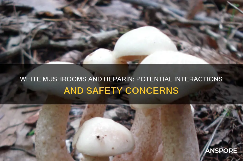 can white mushrooms interact with heparin