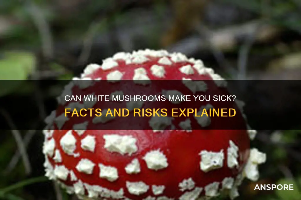 can white mushrooms make you sick