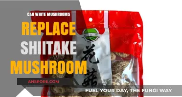 Can White Mushrooms Replace Shiitake in Recipes? A Tasty Comparison