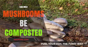 Composting Wild Mushrooms: Safe Practices and Eco-Friendly Tips