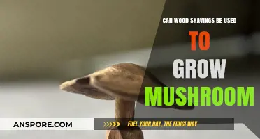 Using Wood Shavings for Mushroom Cultivation: A Practical Guide