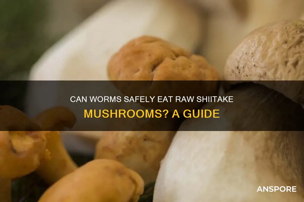 can worms eat shitake mushrooms raw