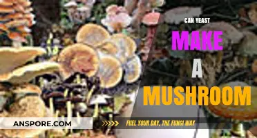 Can Yeast Create Mushrooms? Unraveling the Fungal Connection