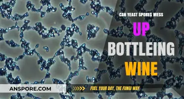 Yeast Spores in Wine Bottling: Risks and Prevention Tips