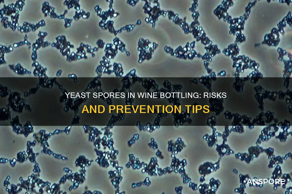 can yeast spores mess up bottleing wine