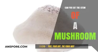 Can You Eat Mushroom Stems? A Guide to Edible Parts