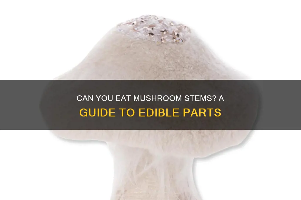 can yiu eat the stem of a mushroom