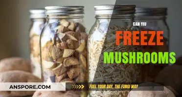 Freezing Mushrooms: A Complete Guide to Preserving Freshness and Flavor