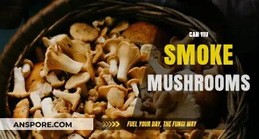Can You Smoke Mushrooms? Exploring the Risks and Realities