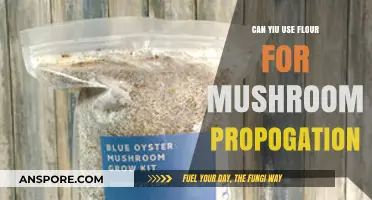 Using Flour for Mushroom Propagation: A Viable Technique or Myth?