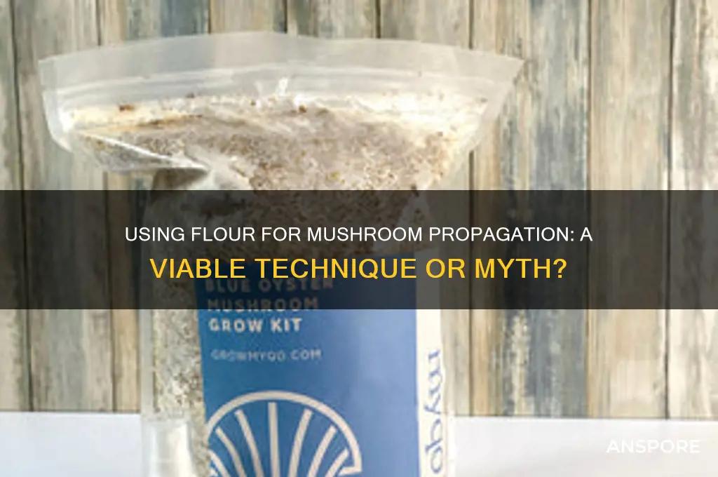 can yiu use flour for mushroom propogation
