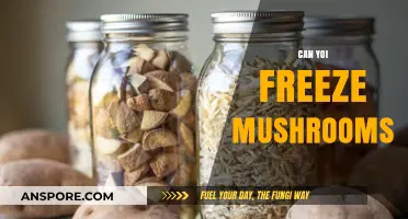 Can You Freeze Mushrooms? A Complete Guide to Preserving Freshness