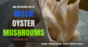 Oyster Mushrooms: How Much is Too Much? A Guide