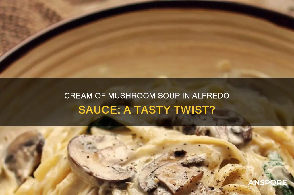 can you add cream of mushroom soup to alfredo sauce