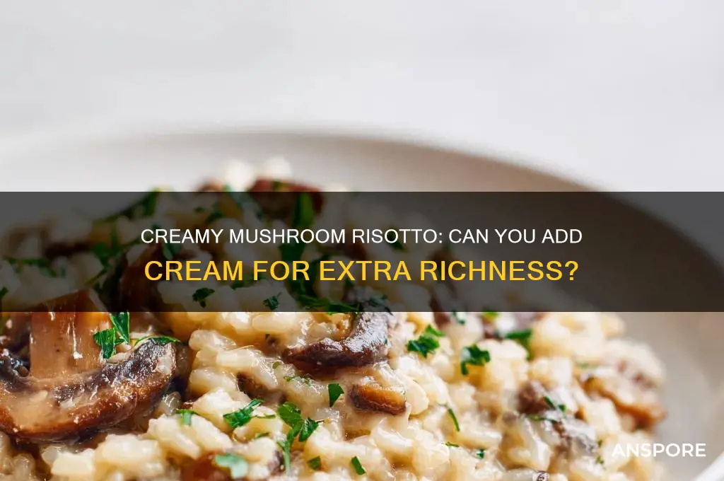 can you add cream to mushroom risotto