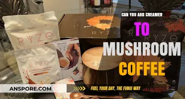Creamer in Mushroom Coffee: A Match Made in Heaven?