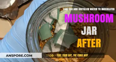 Adding Distilled Water to Inoculated Mushroom Jars: Post-Inoculation Tips