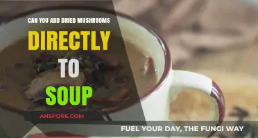 Adding Dried Mushrooms to Soup: Tips for Perfect Flavor and Texture