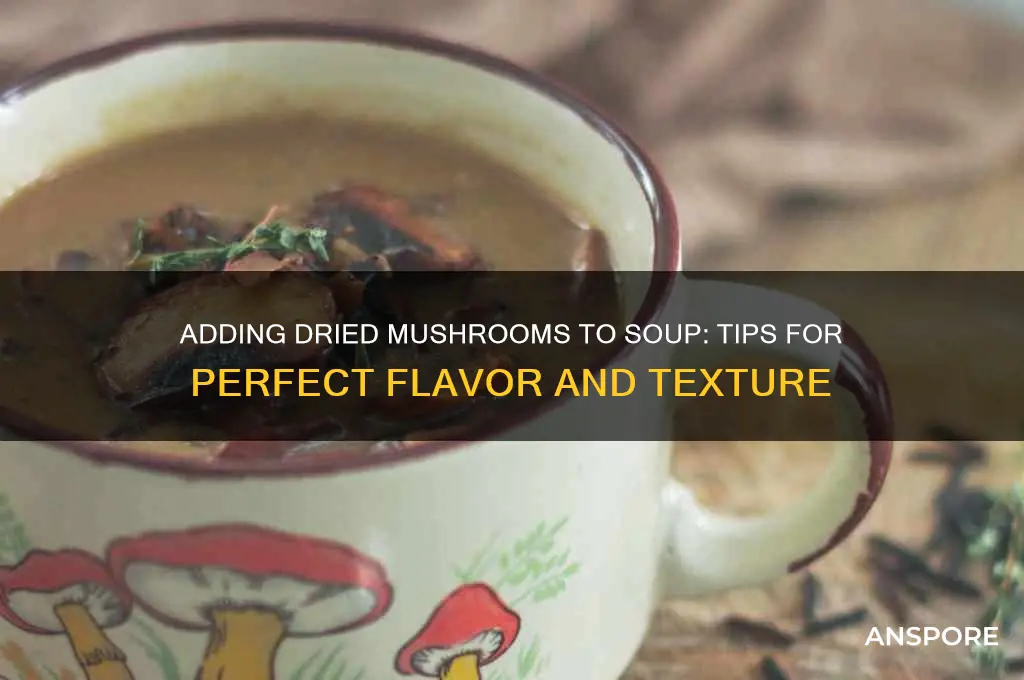can you add dried mushrooms directly to soup