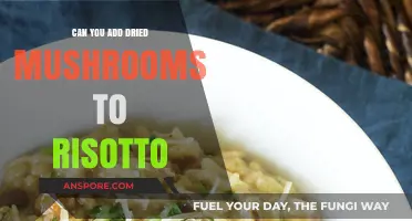 Enhance Your Risotto: Adding Dried Mushrooms for Rich, Earthy Flavor