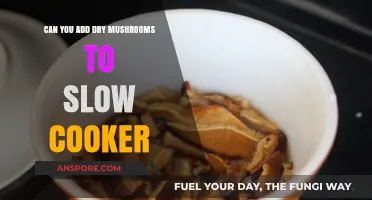 Slow Cooker Tips: Adding Dry Mushrooms for Flavorful, Effortless Meals